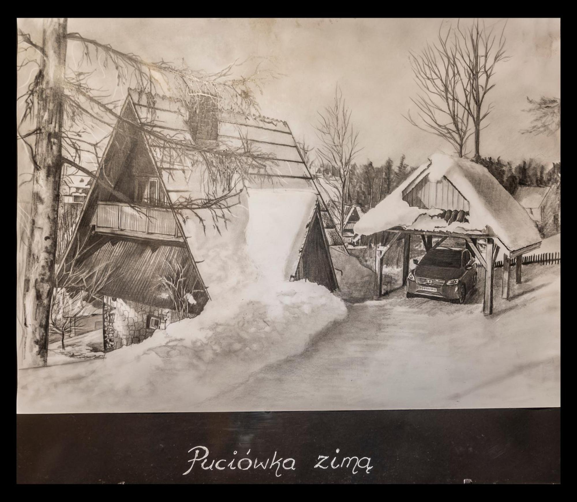 Vila Puciowka Kościelisko Exteriér fotografie